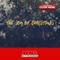 The Joy Of Christmas (TV)